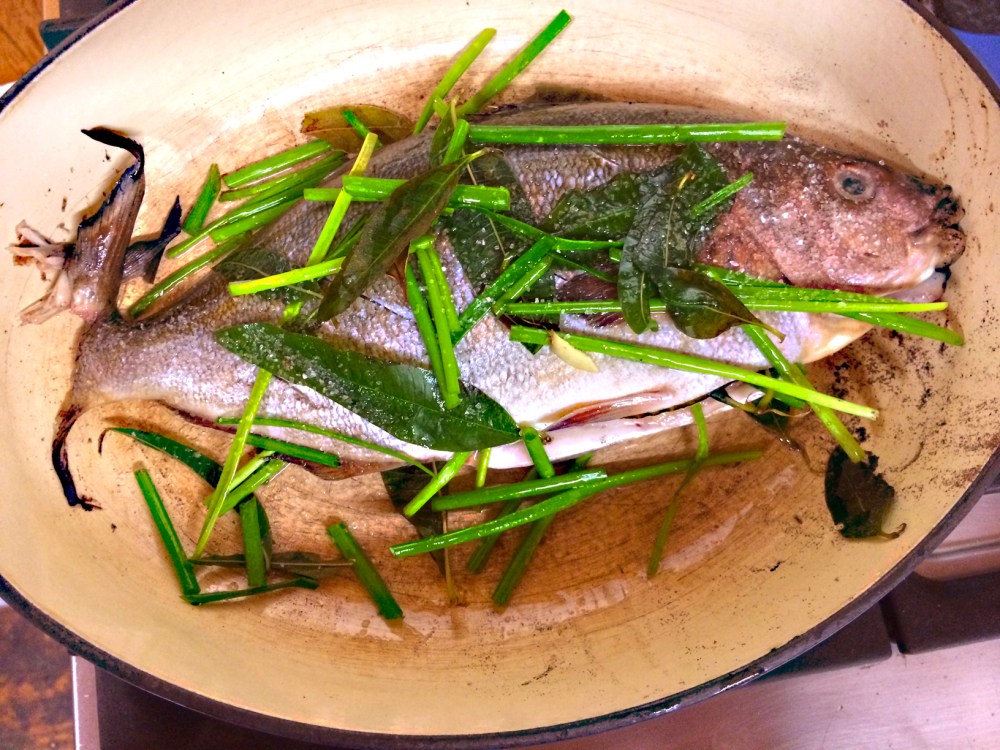 Whole baked Australian Black-Back Salmon