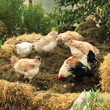 My compost makers at work